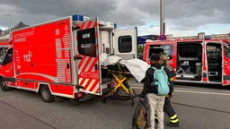 Woman arrested after 12 injured in stabbing attack at Hamburg station